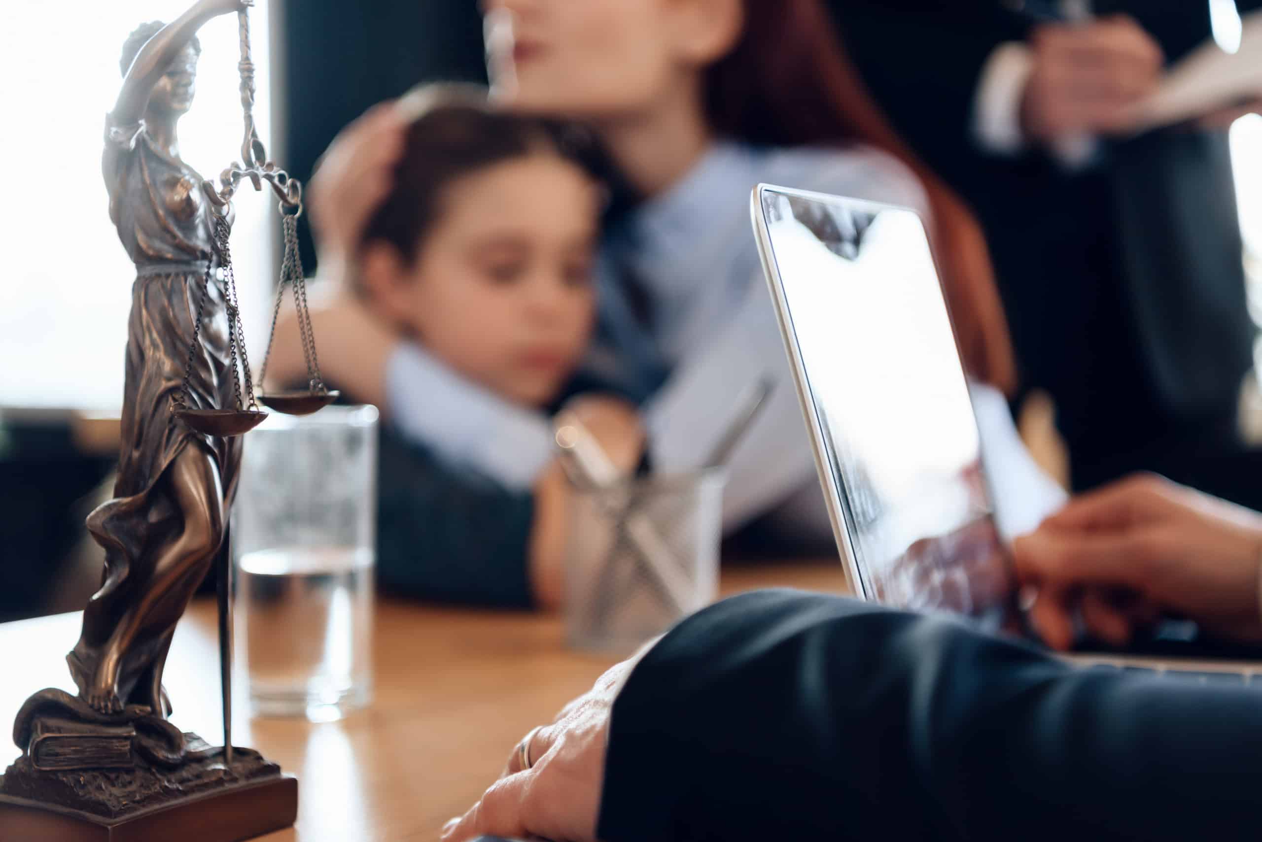 family custody lawyer